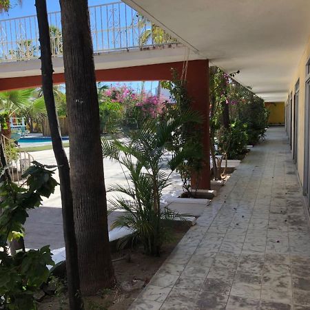 Hotel Calafia La Paz Exteriér fotografie